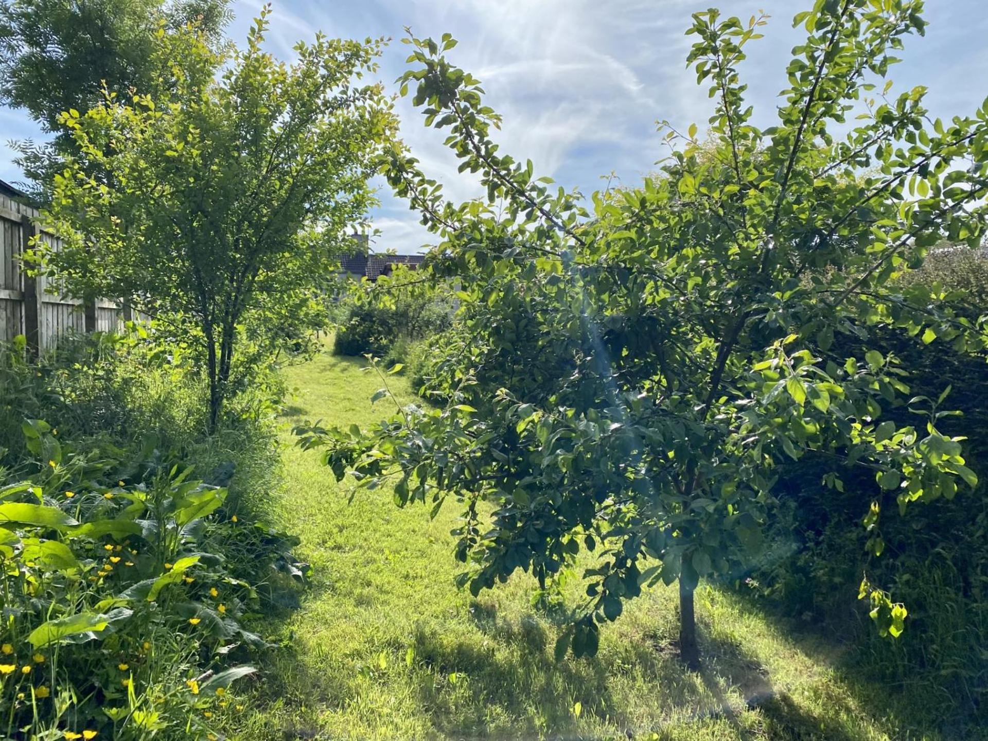 Fairhill Cottage Perfect Location With Garden In Central Ballycastle Extérieur photo